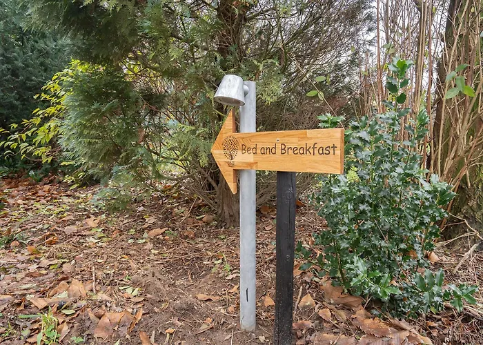 Bed And Breakfast Bij Ons In Het Bos